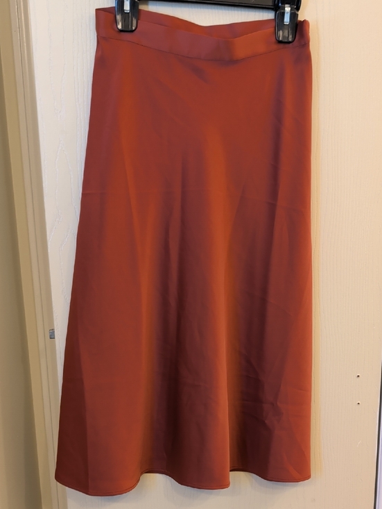 H&M Dresses & Skirts - H&M Women's Calf Length A-Line  Side Zipper Skirt - Rust Size 6 (NWT)